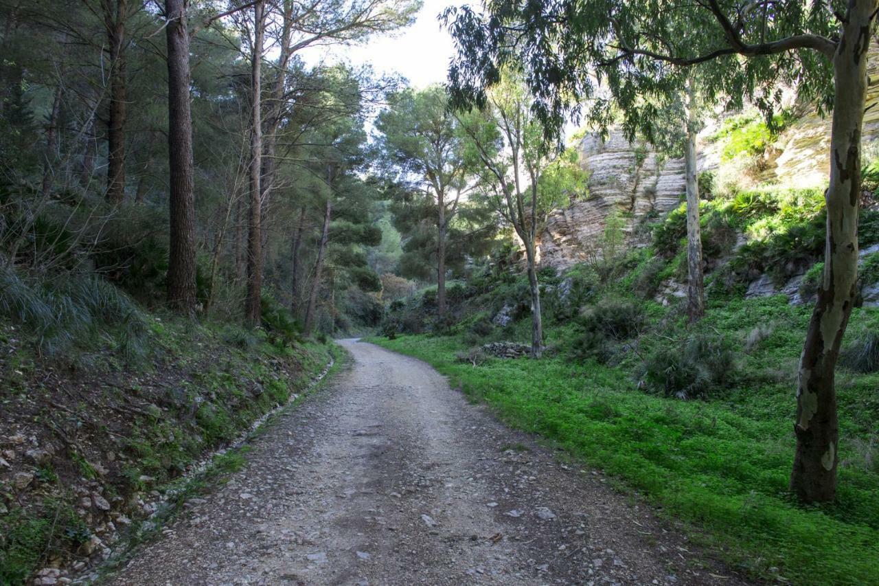 La Dimora Di Segesta B&B Calatafimi Eksteriør bilde